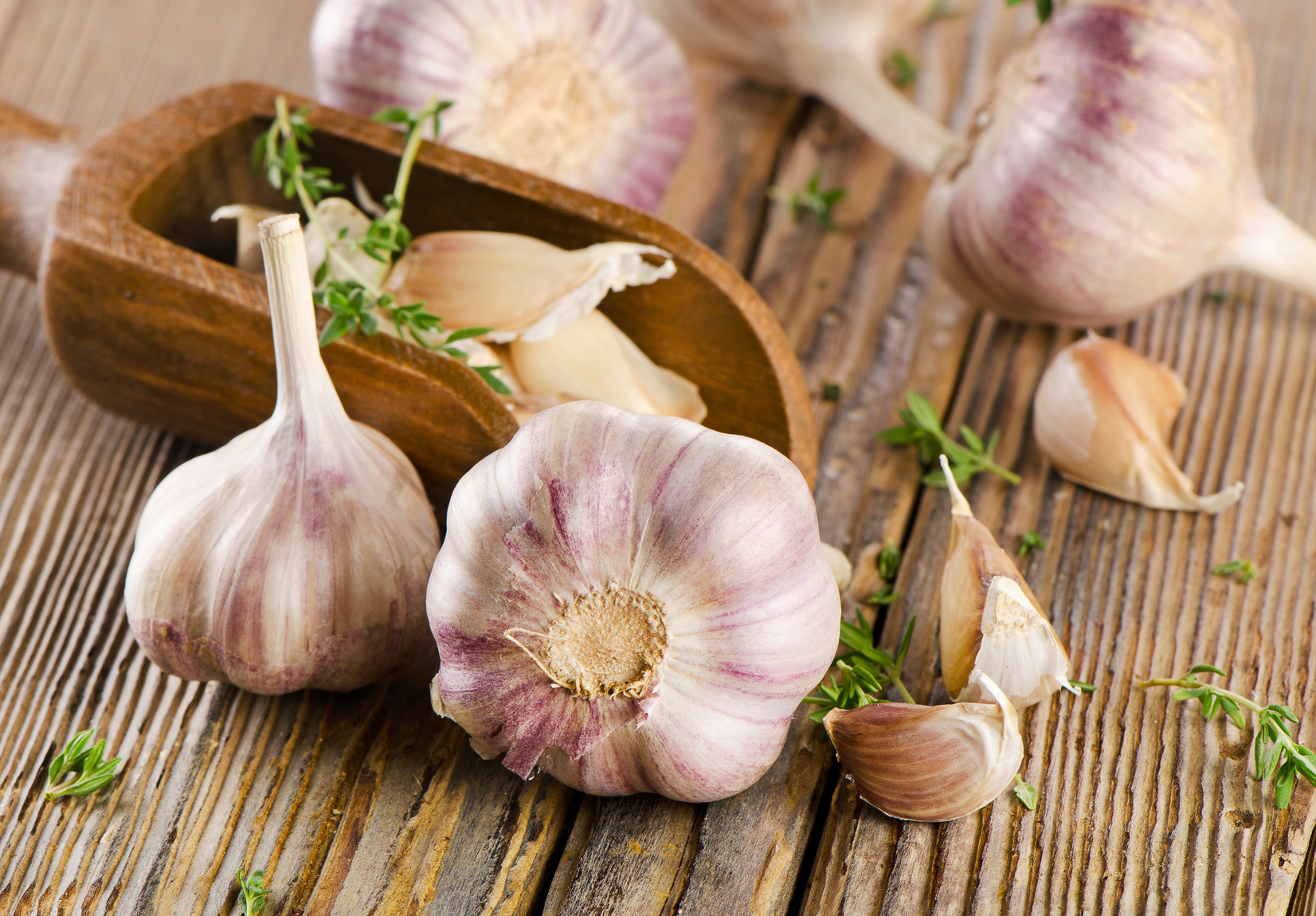 GARLIC As A Medicine? How Effective It Is ImbaLife